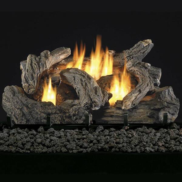 ProCom Heating 30,000 BTU Heating Ventless Gas Log Set with 18 Dual Fuel  Technology 210126 - The Home Depot