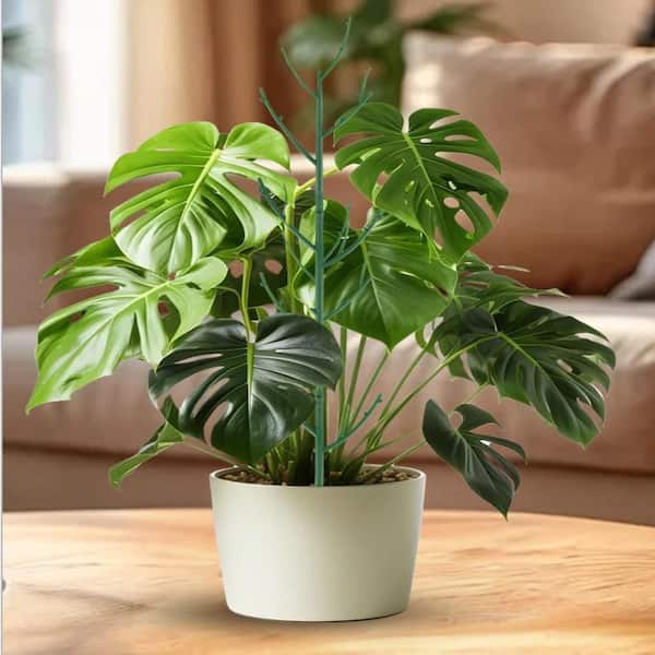 OGETFUUR 10 Pack 16.54 in. Plastic Stackable Durable Monstera Plant Support  Garden Stakes for Climing Plants Stem Support OG5B-0C7