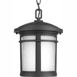 Wish Collection 1-Light Outdoor Textured Black LED Hanging Lantern