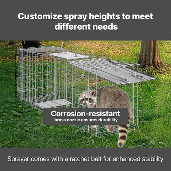 Live Animal Cage Trap 31 in. x 10 in. x 12 in. Humane Cat Trap Galvanized Iron, Folding Animal Trap with Handle