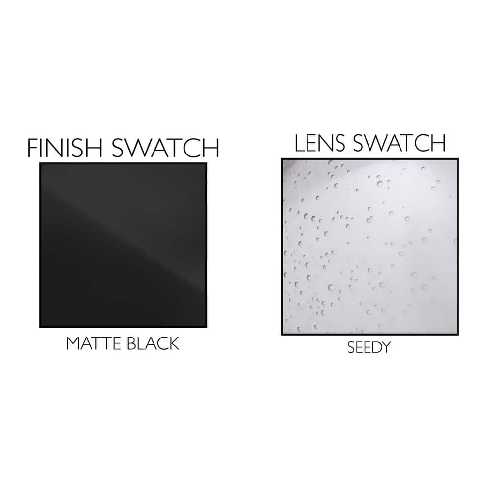 Matte Black Glass Wall Light with Seedy Shade