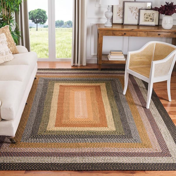 Braided Blue/Multi 8 ft. x 10 ft. Border Area Rug