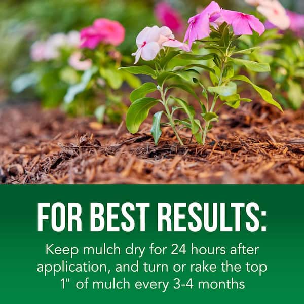 Earthgro - 1.5 cu. ft. Black Wood Shredded Bagged Mulch