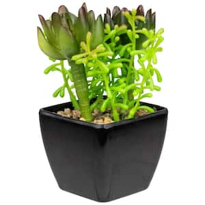 6 in. Potted Green Artificial Succulent Arrangement