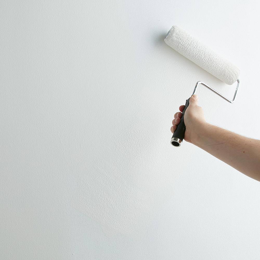 Buy Mold and Mildew 1 Gal. White Water Based Interior and Exterior