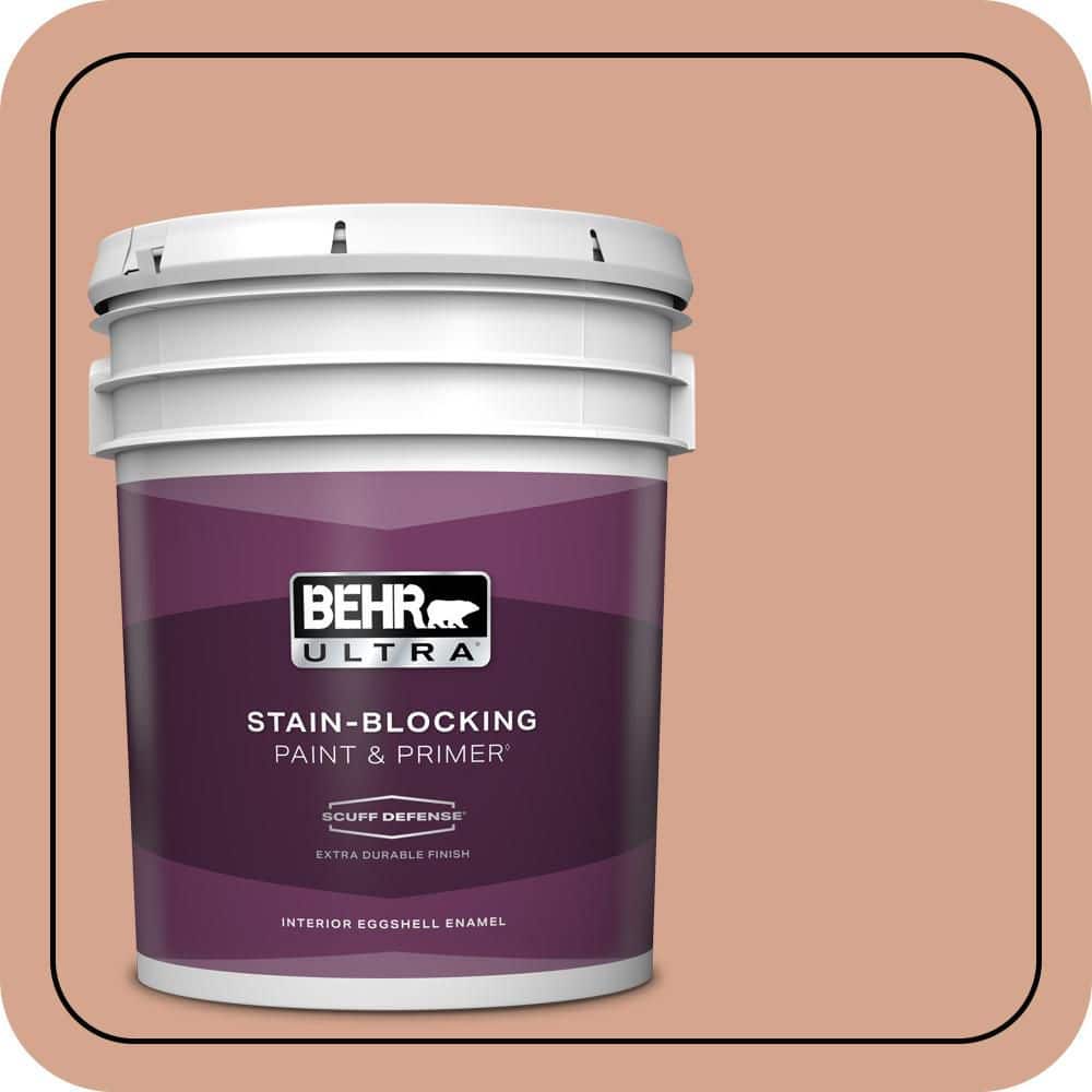 5 gal. #240E-3 Coronado Dunes Extra Durable Eggshell Enamel Interior Paint & Primer price history on PriceWatchPro