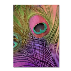 24 in. x 18 in. "Peacock Candy III" by Color Bakery Printed Canvas Wall Art