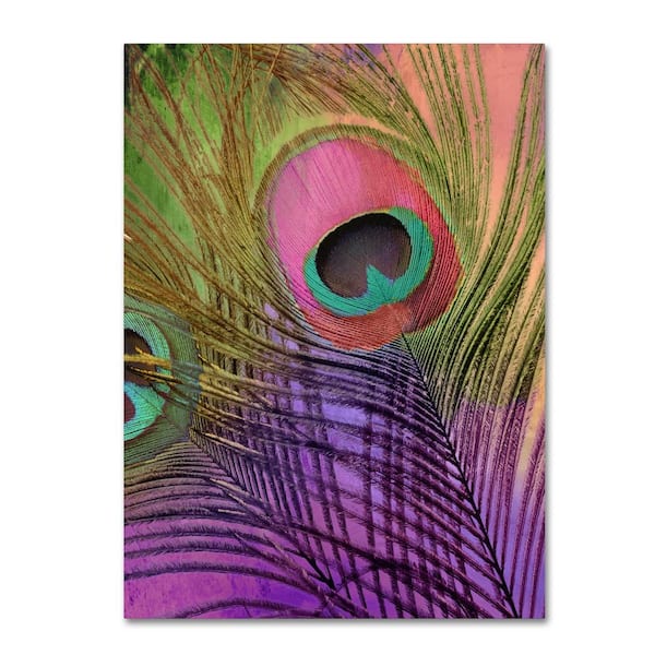 Canvas print Peacock feather  Fine Art Prints & Wall Decorations