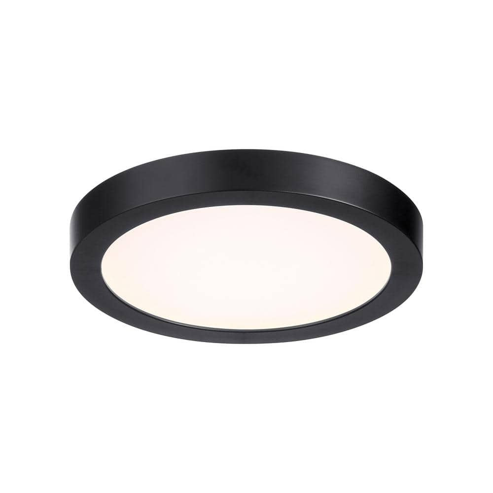 Black Glass LED Flush Mount Ceiling Light for Indoor/Outdoor