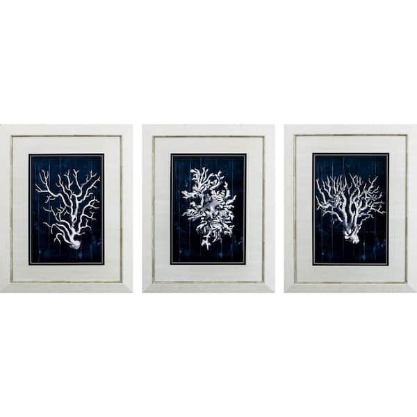 Paragon Wood Coral Blue NA 3-Piece Framed Nature Poster 28 in. x 22 in.