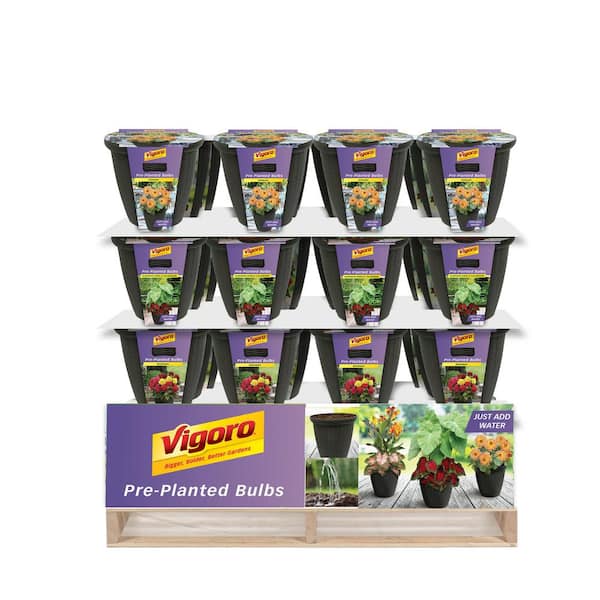 Vigoro Pre-Planted Assorted Mixed Bulbs N and W (48-Count)