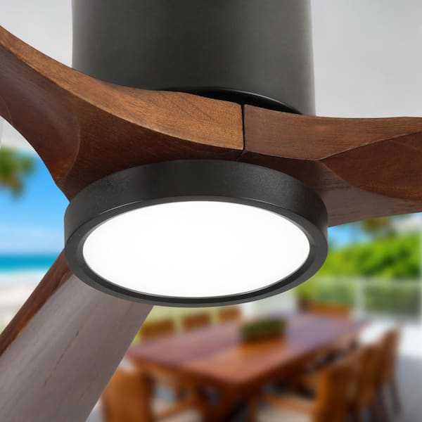 42 in. Indoor Black 3 Solid Wood Blades Reversible DC Motor Ceiling Fan with 6 Speeds and Remote Control