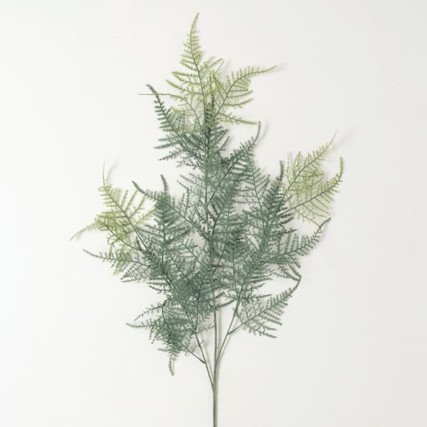SULLIVANS Artificial 40 in. Long Plumosa Fern Spray, Green