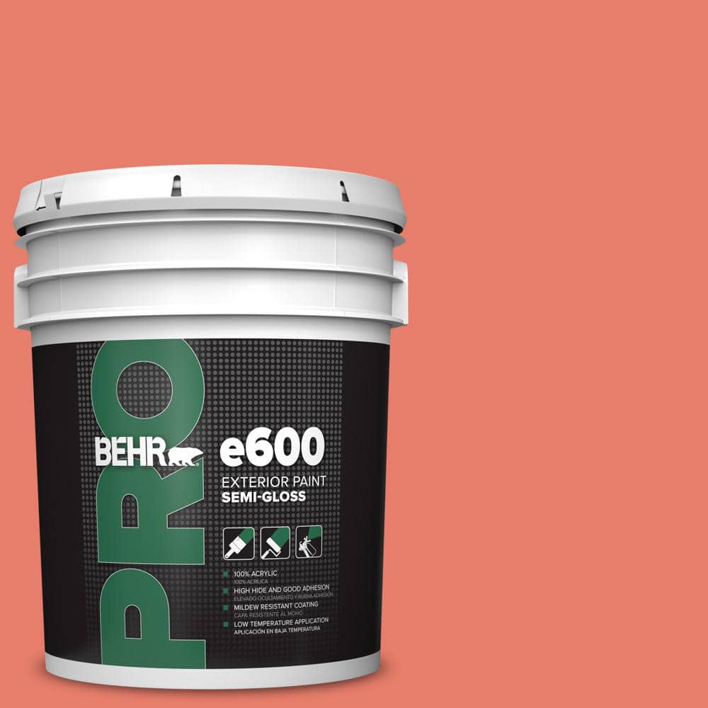 5 gal. #HDC-SM14-12 Cosmic Coral Semi-Gloss Exterior Paint product image for price tracking