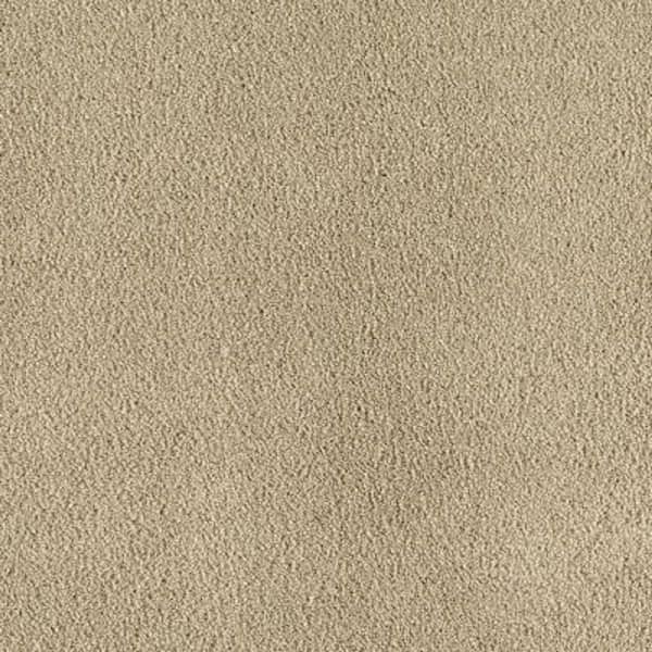 SoftSpring Carpet Sample - Cashmere II - Color Wetlands Texture 8 in. x 8 in.