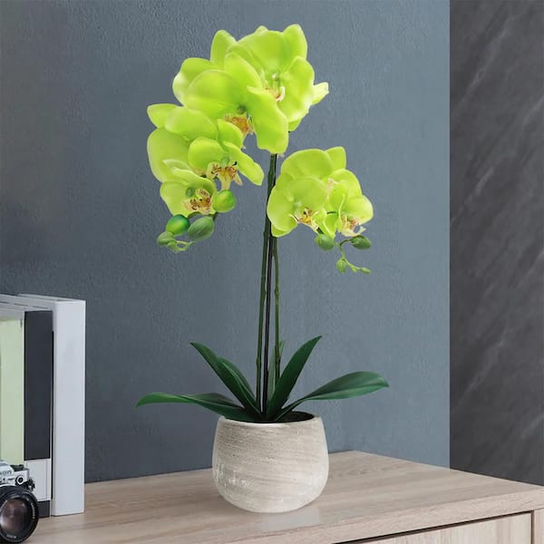 LIVING LUXURY 20 in. Green Artificial Phalaenopsis Orchid Flower Arrangement in Clay Pot