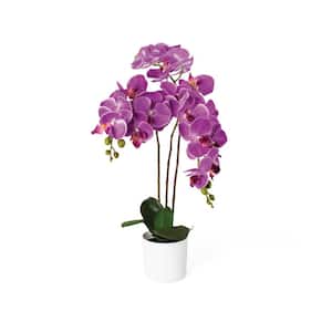 21 in. Pink Artificial Orchid in White Planter Pot
