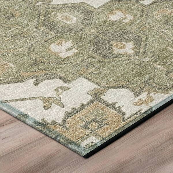 Chantille Machine Washable Indoor/Outdoor Abstract ACN3027 Cactus 3 ft. x 4 ft. Area Rug