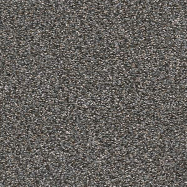 Home Decorators Collection Fall Skies II  - Hayride - Gray 65 oz. SD Polyester Texture Installed Carpet