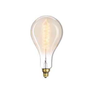 60-Watt Equivalent Amber Light Medium Base (E26) Dimmable Incandescent Antique Novelty Light Bulb (1-Pack)