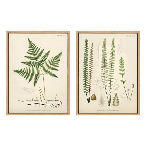 Kate and Laurel Sylvie "Ferns 1 and Ferns 2" by Piddix (Corinna Buchholz) Framed Canvas Wall Art 24 in. x 18 in.