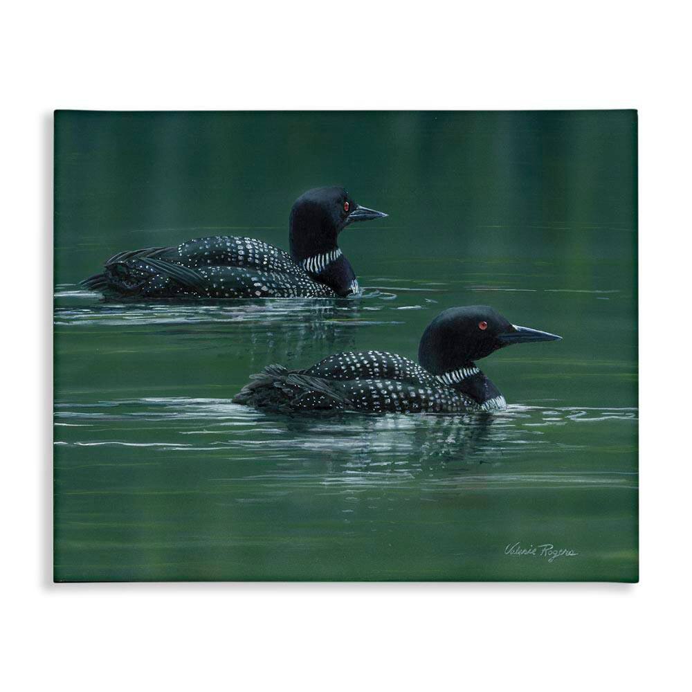 Peaceful Loon Duo by Valerie Rogers Unframed Animal Graphic Art Print 30 in. x 40 in. price history on PriceWatchPro