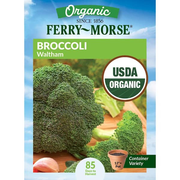 Organic Broccoli Waltham Vegetable Seeds