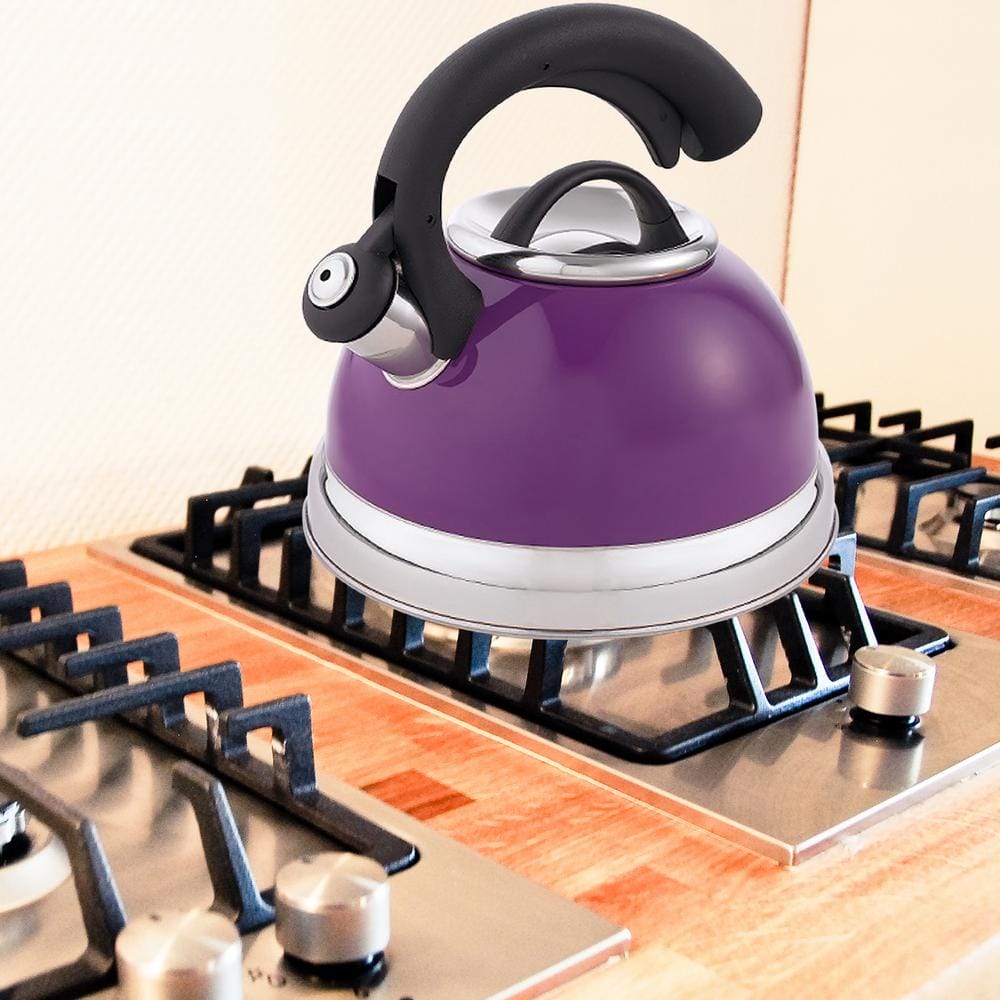Plum Stainless Steel 2.6 Qt Whistling Tea Kettle