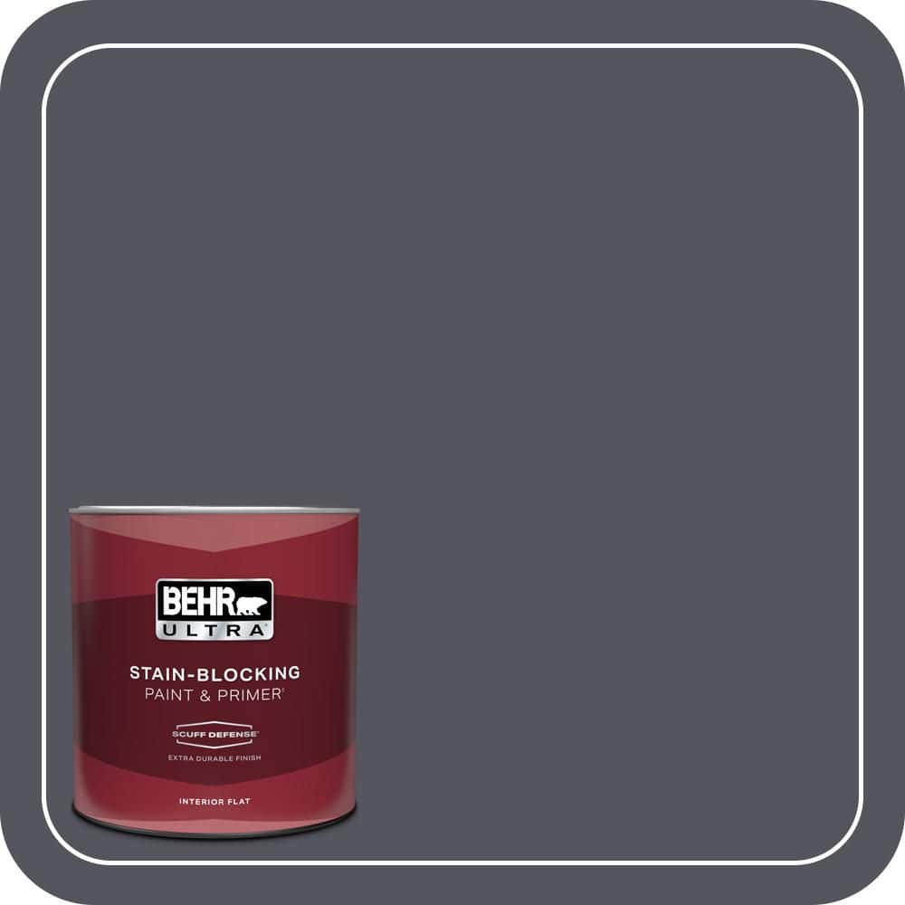 1 qt. #N540-7 Coal Mine Extra Durable Flat Interior Paint & Primer price history on PriceWatchPro
