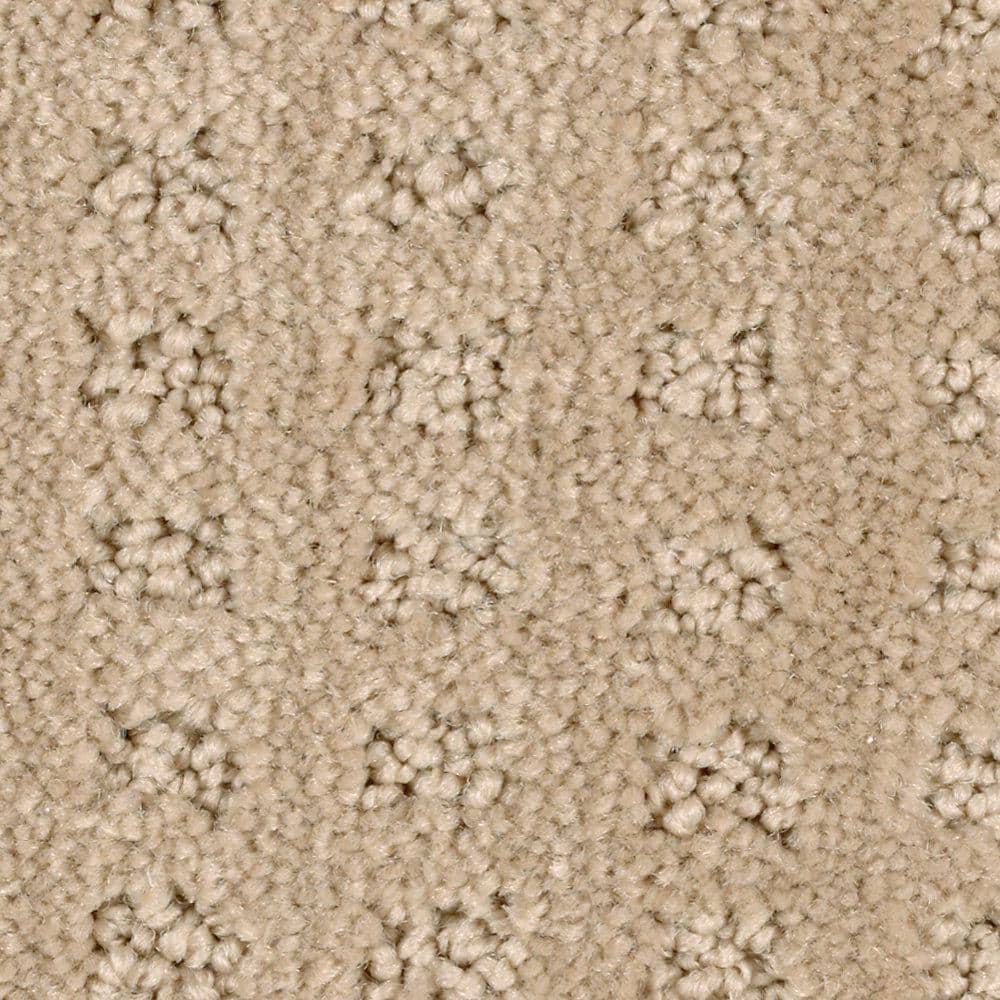 8 in. x 8 in. Texture Carpet Sample - Canter -Color Coachman price history on PriceWatchPro