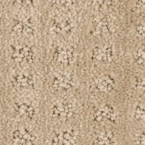 8 in. x 8 in. Texture Carpet Sample - Canter -Color Coachman