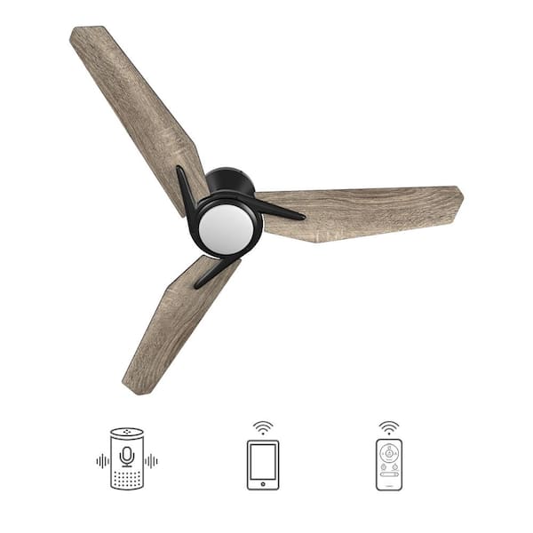 CARRO Tilbury 52 in. Integrated LED Indoor/Outdoor Black Smart Ceiling Fan with Light and Remote, Works with Alexa/Google Home