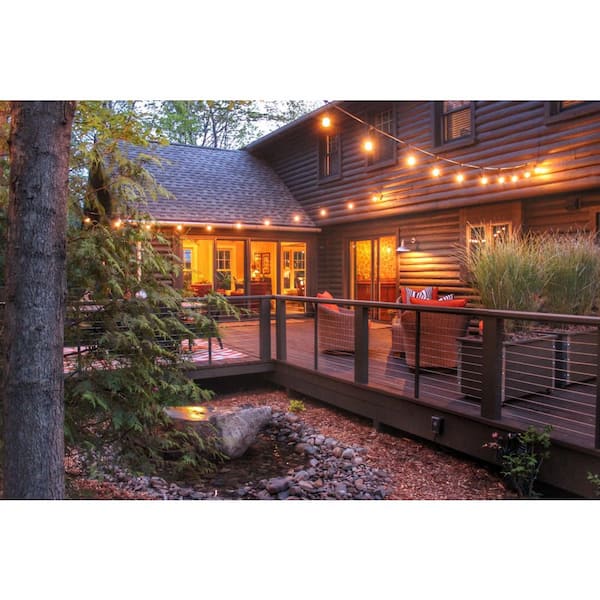 Outdoor/Indoor 14 ft. Plug-in G16 Black String Light with Clear Incandescent Bulbs Included 10 Sockets (1-Pack)