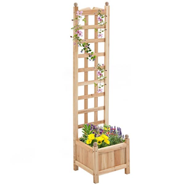 Unbranded 11.75 in. W Wood Outdoor Raised Beds