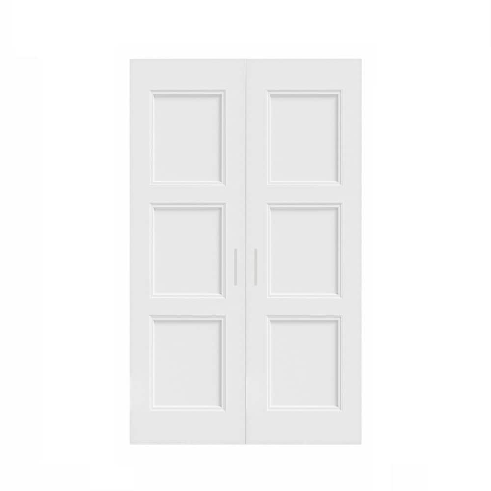 ARK DESIGN 48 in. x 80 in. (Double 24 in.) French Door 3-Panel Painted ...