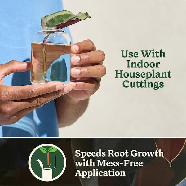 Plant Care Root Starter Gel, Rooting Hormone for Propagating Houseplants (4-Pack)