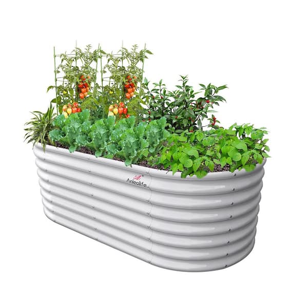 Cesicia 6 ft. L x 3 ft. W x 2 ft. H Outdoor White Galvanized Steel Raised Garden Bed Oval Above Ground Modular Planter Boxes