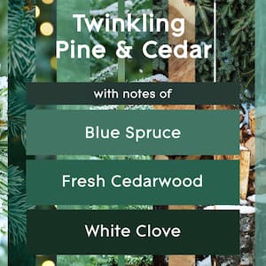 6.2 oz. Twinkling Pine and Cedar Automatic Air Freshener Refill (1-Count)