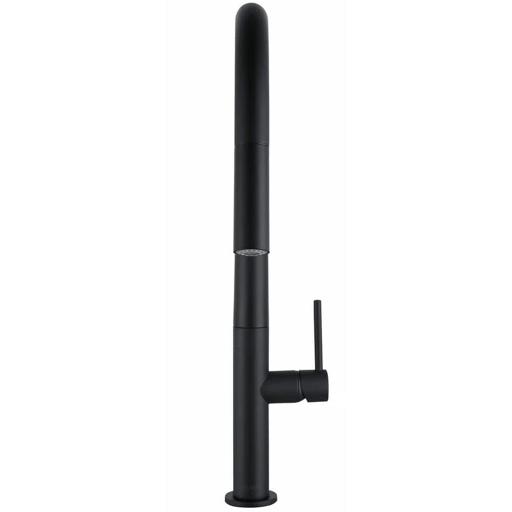 Matte Black Pull-Down Single Handle Kitchen Faucet with Spray