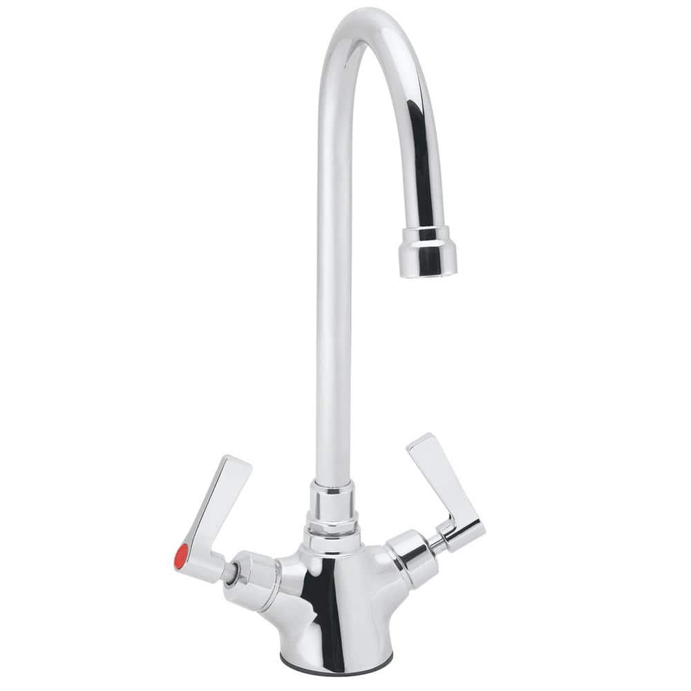 Speakman Commander Double Handle Laboratory Faucet in Polished Chrome  SC-7122-E - The Home Depot