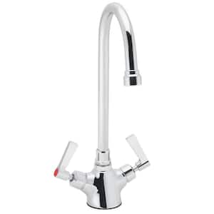 Commander Double Handle Laboratory Faucet in Polished Chrome