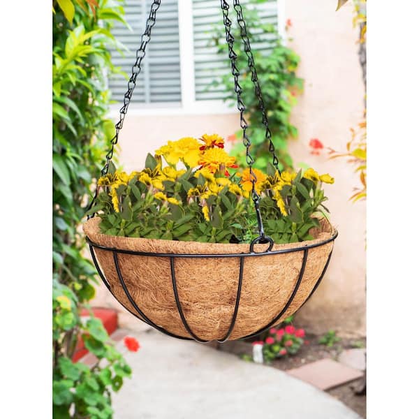 Rocky Mountain Goods Hanging Flower Basket with Natural Coconut Liner  Thick coco liner hanging planter for less watering Extra strength (並行輸入)  通販