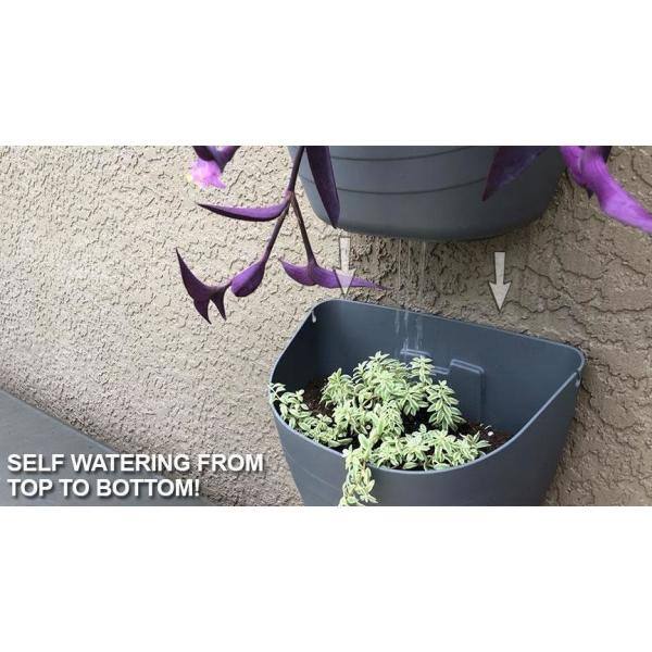 Black 12" Self-Watering Wall Planter for Indoor/Outdoor Use
