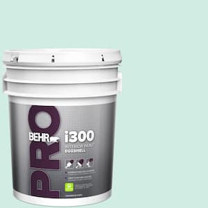 5 gal. #HDC-MD-19 Soft Mint Eggshell Interior Paint