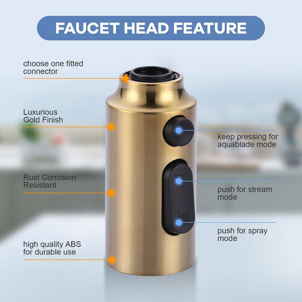 Gold 3-Function Kitchen Faucet Spray Head with 9 Adapters