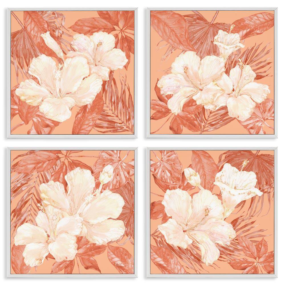 Peach Hibiscus Flowers by Paul Brent 4-Pieces White Framed Nature Giclee Art Print 12 in. x 12 in. price history on PriceWatchPro