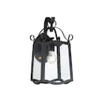 Glenwood 1-Light Black Outdoor Wall Lantern Sconce with Clear Seedy Glass Shade