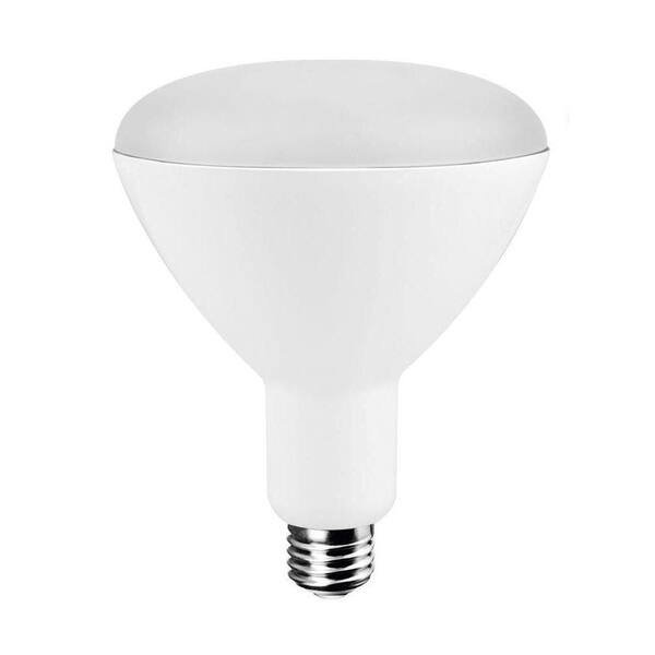 EcoSmart 75W Equivalent Daylight BR40 LED Light Bulb (4-Pack)