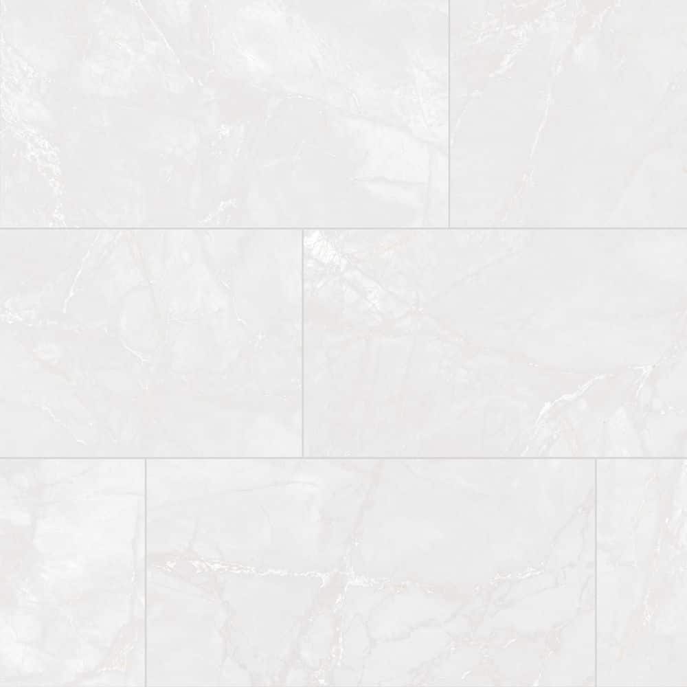 Michelangelo Grey 12 in. x 24 in. Porcelain Floor and Wall Tile Sample (1.9 sq. ft. /Piece) price history on PriceWatchPro