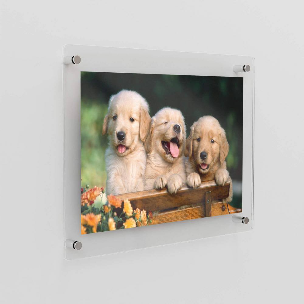 23" x 33" Clear Acrylic Floating Frame with Chrome Wall Mounts